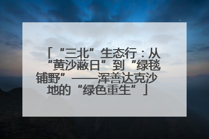 “三北”生态行：从“黄沙蔽日”到“绿毯铺野”——浑善达克沙地的“绿色重生”